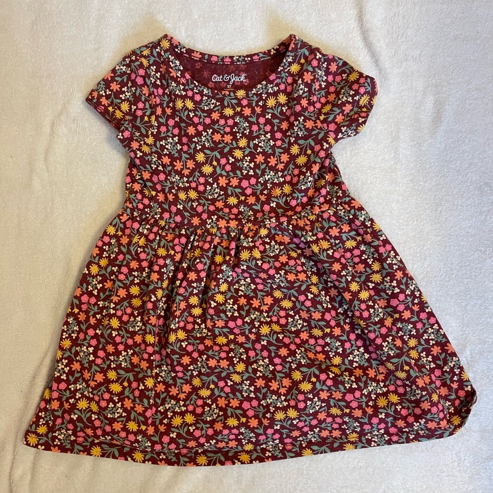 Cat & Jack dress
